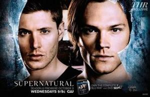 Supernatural Season 1-10 DVD Boxset