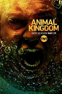 Animal Kingdom Season 3 DVD Set