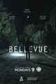 Bellevue Seasons 1 DVD Boxset