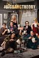 The Big Bang Theory Seasons 1-11 DVD Box Set