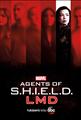 Marvel's Agents of S.H.I.E.L.D Seasons 1-5 DVD Box set