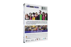 The Big Bang Theory Seasons 10 DVD Box Set