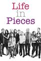 Life in Pieces season 1 DVD Boxset