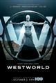 Westworld Seasons 1-2 DVD Box Set