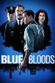 Blue Bloods Seasons 8 DVD Box set