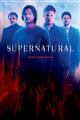Supernatural Seasons 1-13 DVD Boxset